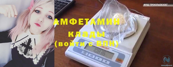 шишки Баксан