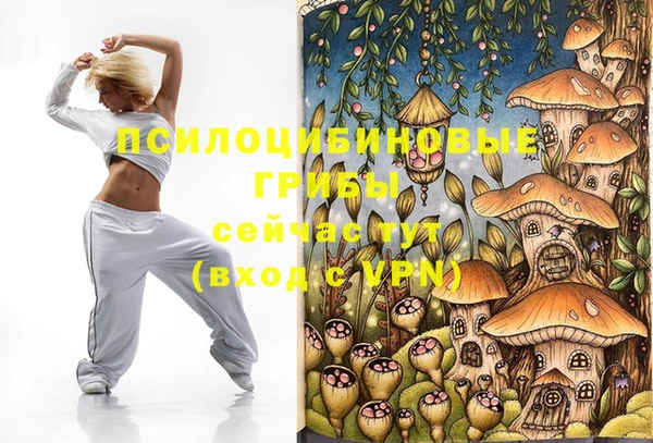 шишки Баксан