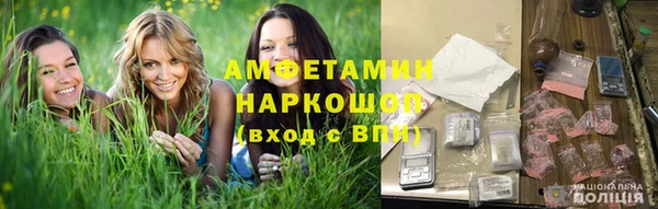 шишки Баксан
