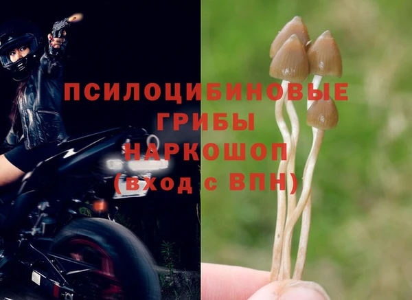 шишки Баксан